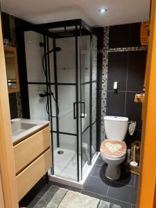 une salle de bains avec douche, toilettes et lavabo dans l'établissement Chalet duplex avec terrasse entièrement équipé60m2, à Gérardmer 13 autres photos