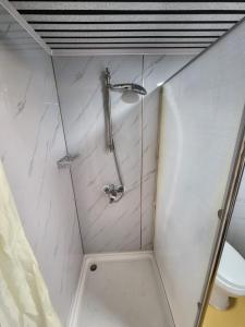 uma cabina de duche na casa de banho com WC em Raptor Ranch em Valle