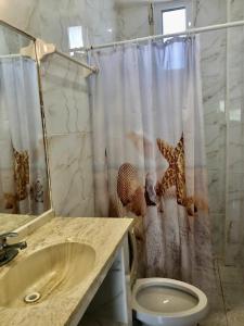 LA PUCCA HOTEL BOUTIQUE RESORT في بينيتا دي جالتيمبا: حمام مع ستارة دش مع مرحاض +41 صورة