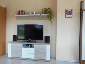 een flatscreen-tv bovenop een entertainmentcentrum bij Basche Comfortable holiday residence in Oberzissen
