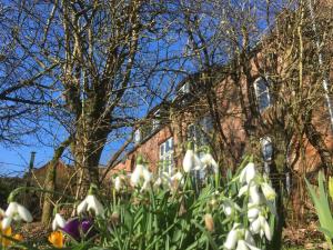 Photo de la galerie de l'établissement Alte Schule Tetenbüll, à Tetenbüll 37 autres photos