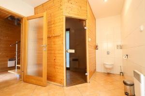 a bathroom with a toilet and a wooden wall at Chalupa s privátní saunou in Dolní Morava +48 photos