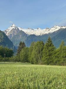 a field with snow capped mountains in the background at Haus Laubreuter in Kaprun