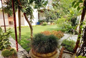 a garden with trees and plants in a yard at Garden View Residency, Deluxe Queen Room 1 in Lucknow