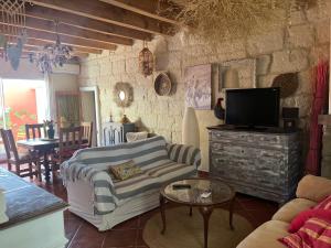 a living room with a couch and a tv at GITES - Mas Saint-Louis - Piscine chauffée in Aigues-Mortes