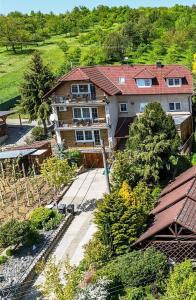 een luchtzicht op een groot huis met een dak bij Apartmán LUKA in Buchlovice