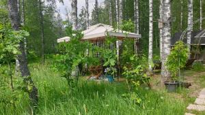 ein Baumhaus mit einem Regenschirm im Wald in der Unterkunft Troll House Eco-Cottage, Nuuksio for Nature lovers, Petfriendly in Espoo