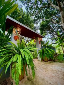 mały domek z rośliną przed nim w obiekcie Richards Cabanas w mieście Tissamaharama