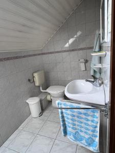 La salle de bains est pourvue de toilettes et d'un lavabo. dans l'établissement Horváth apartaman, à Hévíz