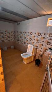 Rumis Desert Camp في جيلسامر: حمام مع مرحاض في الغرفة