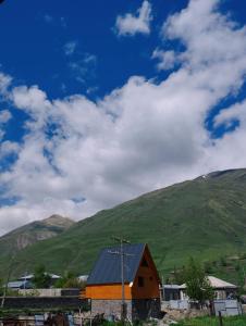 a small barn with a green hill in the background at Guest House Arsha in Kazbegi