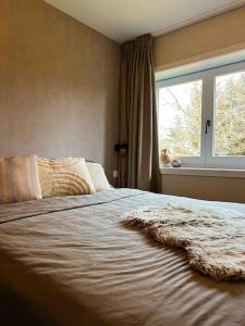 Φωτογραφία από το άλμπουμ του Chalet Wijd Weg σε Rendeux