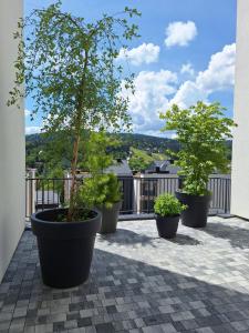 Nespecifikovaný výhled na hory nebo výhled na hory při pohledu z apartmánu