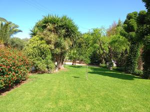 A garden outside 7 SENCES!!