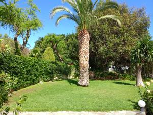 A garden outside 7 SENCES!!