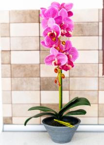 Fotografia z galérie ubytovania LUXURY AND SUNNY APARTMENT 250 mts FROM THE BEACH!! v Perei