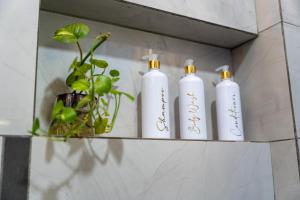 three white shampoo bottles sitting on a shelf with a plant at Island Lyfe Adventures in El Nido