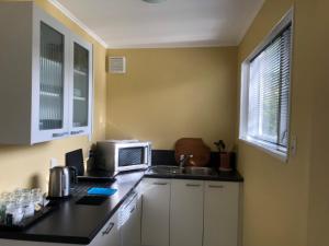 une cuisine avec évier et four micro-ondes sur un comptoir dans l'établissement Close To Nature & City, à Wellington
