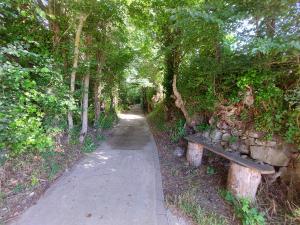 un sentiero con una panchina e un sentiero alberato di Casa Rural Los Rubios 
