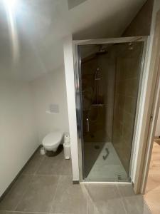 a bathroom with a shower and a toilet at Location d un logement de 70m2 et de 2 CH chez l habitant in La Roche-sur-Yon +2 photos