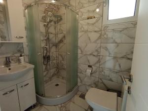 a bathroom with a shower and a toilet and a sink at Villa Roki in Ravanj