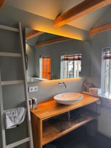 a bathroom with a sink and a mirror at Grosse Perle in Brodersby OT Schönhagen