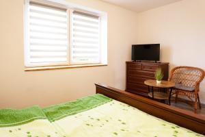 a bedroom with a bed and a tv and a window at Domek na wzgórzu in Sosnowice
