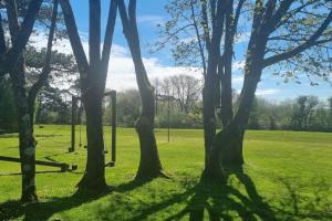 a group of trees in a field with a net at Woodland Lodge, Llanteglos Estate in Narberth