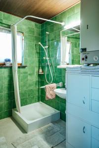 baño verde con bañera y lavamanos en Cozy family place 'Hiša Grozdek' - Gruškovec 40A en Gruškovec