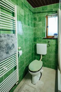 a green bathroom with a toilet and a window at Cozy family place 'Hiša Grozdek' - Gruškovec 40A in Gruškovec +32 photos