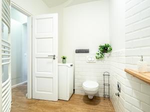 a white bathroom with a toilet and a sink at Laura apartment in Budapest +3 photos