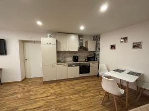Kuchyňa alebo kuchynka v ubytovaní Apartment an der Burg