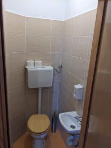 a small bathroom with a toilet and a sink at Apartments Monika in Novi Vinodolski