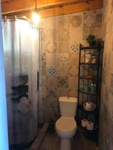 a bathroom with a toilet and a shower at Anna’s Olive Grove in Ammouliani