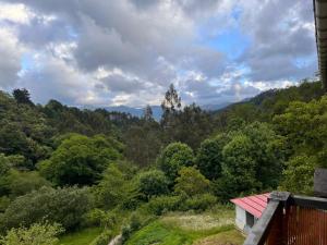 una cabaña en medio de un bosque de árboles en Basoan etxea, en Sopuerta 2 fotos más