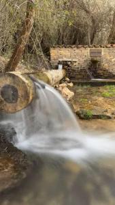 Naturlandskabet i nærheden af feriehuset