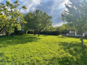 a grassy yard with trees in the background at Casa Benjamín in Oviedo +37 photos