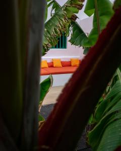 a couch with colorful pillows in front of a house at Hektor - farm, arts & suites in Teguise