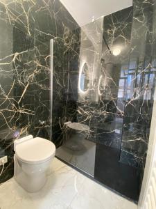 a bathroom with a toilet and a black marble wall at Grands T2 Cours Napoleon in Ajaccio