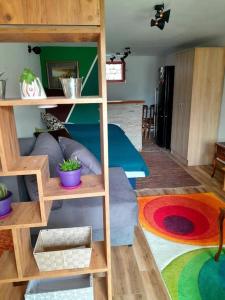 Foto Ivanjicas asuva majutusasutuse Studio Apartman Skyline galeriist +12 fotot