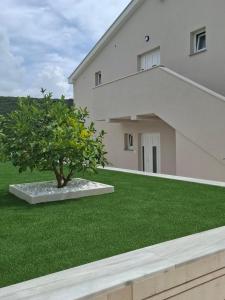 Gallery image of Apartments Vidović in Sveti Petar +56 photos