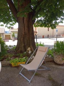 una silla sentada frente a un árbol en Albergo Alla Posta, en Anduins