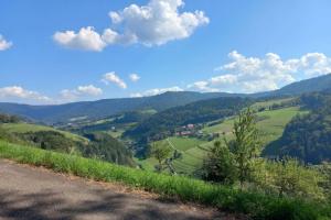Příroda nedaleko apartmánu