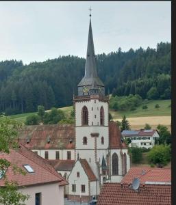 Příroda nedaleko apartmánu