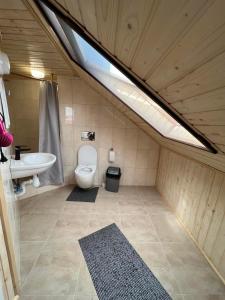 a bathroom with a toilet and a sink and a skylight at Hotel VIZA in Solotvyno