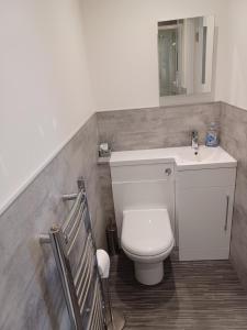 ein Badezimmer mit einem WC, einem Waschbecken und einem Spiegel in der Unterkunft Craiglea Thistle in Killin