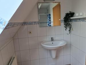 ein Badezimmer mit Waschbecken und Spiegel in der Unterkunft Treeneperle in Schwabstedt + 15 Fotos