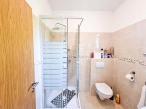 a bathroom with a shower and a toilet at Apartment & Room Danijel in Pinezici +36 photos