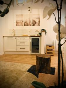 Dapur atau dapur kecil di Suite Spa et Sauna de Cogny