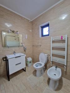 a bathroom with a toilet and a sink and a mirror at Villa Niko in Mamaia Nord